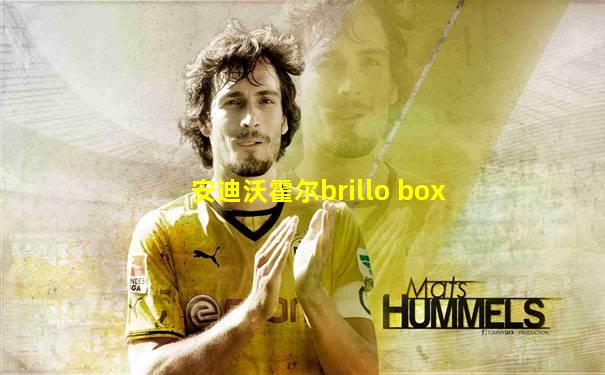 安迪沃霍尔brillo box